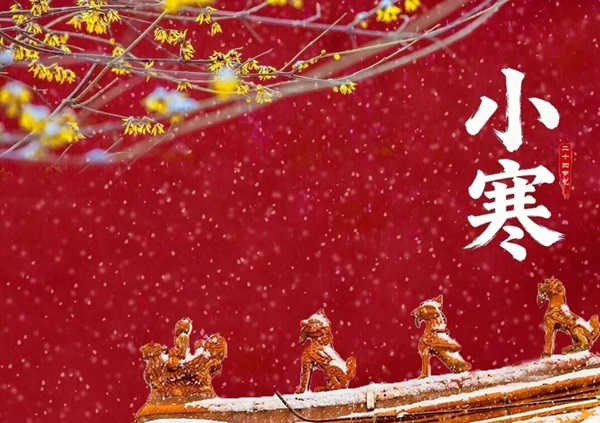 小寒哪些人会好运？