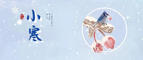 小寒运势暗中升温！生肖猪兔羊荣登前三甲