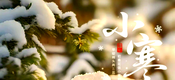 小寒己丑月运势分析