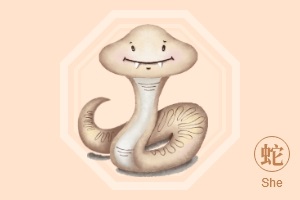 生肖蛇人2026年全年运势及每月运势