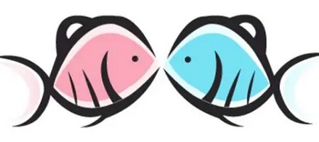 双鱼座2026年运势