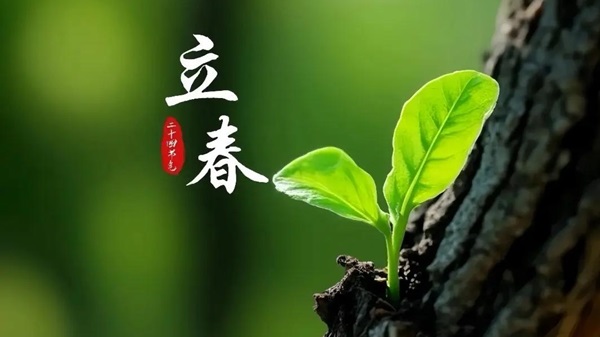 躲春：3做3不做