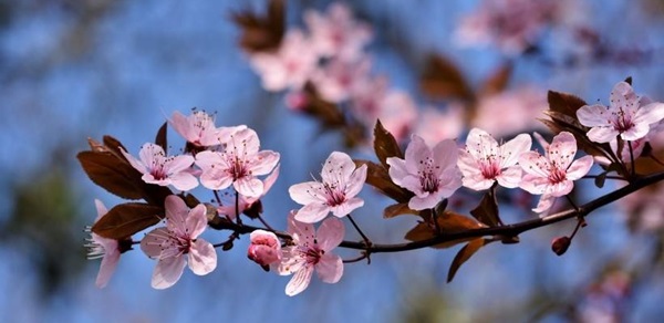 2026年3月爱情运势好的3大星座