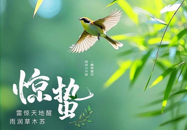 2026年惊蛰运势注意