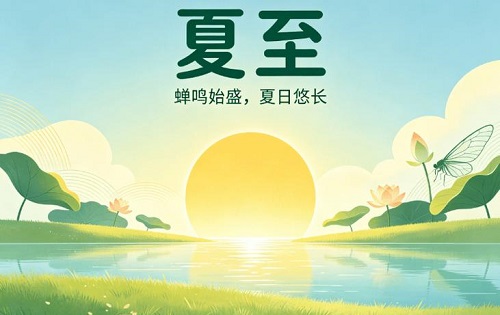夏至节气综合指南