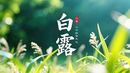 白露节气综合指南