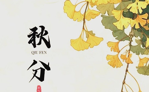 秋分节气综合指南