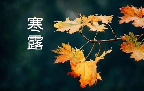 寒露节气综合指南